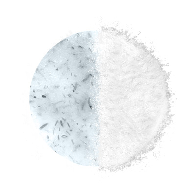 Phyto Nutrients Blast